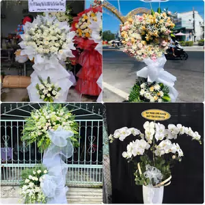 Đặt Hoa Đám Tang Xã Triệu Sơn Thanh Hóa